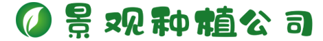 www.213268.com